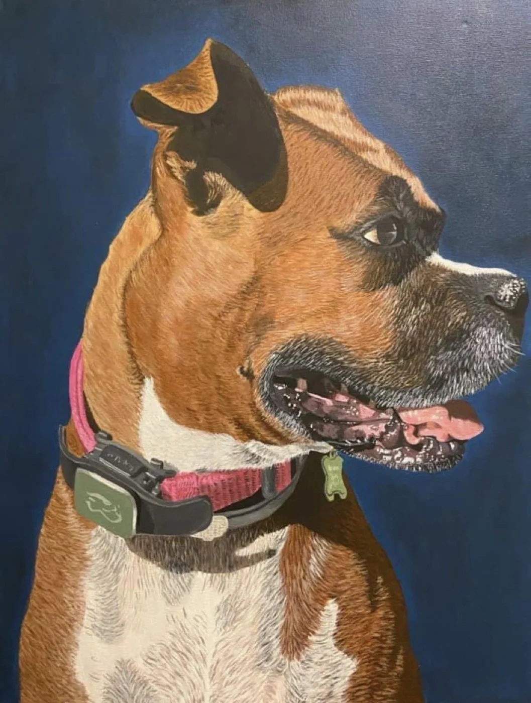 Acrylic pet portrait of Roxie the boxer on a navy background, by Tatiana Clover.