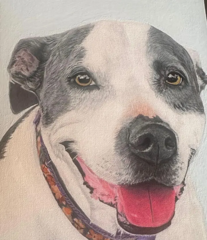 Portrait of Kai the pit bull, acrylic on canvas