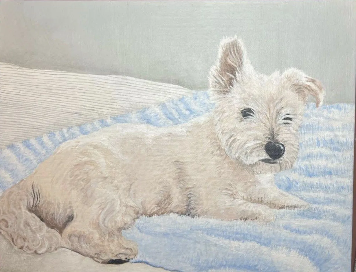 Portrait of Blue the West Highland terrier on a blue blanket